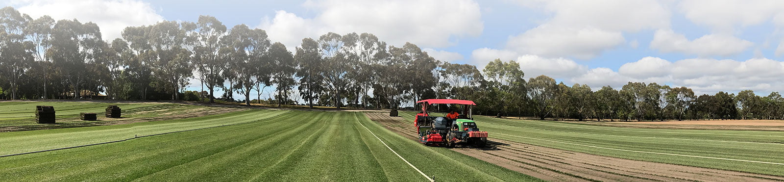Anco Swan Hill – The dawn of a new turf supply