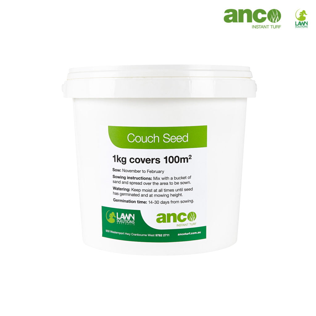 Buy Couch Seed 1KG Online Anco Turf