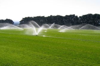 Waterwise Lawns