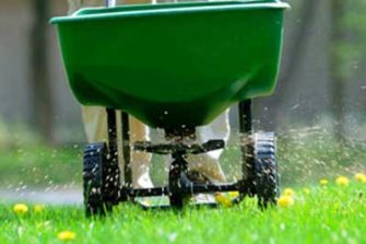 When Should You Fertilize Your Lawn?