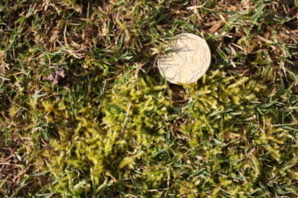 A rolling stone gathers no moss