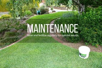Top 7 Lawn Care Tips For Spring and Summer