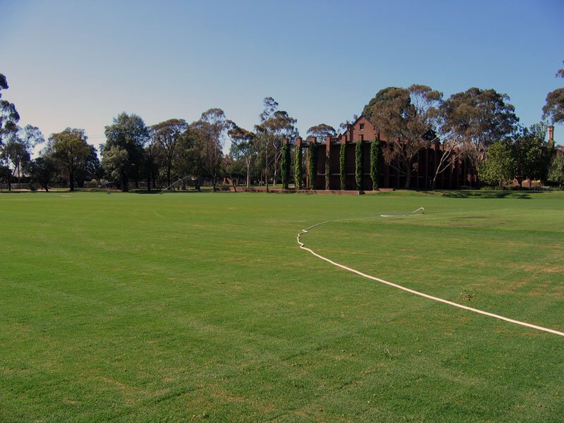 Anco Turf