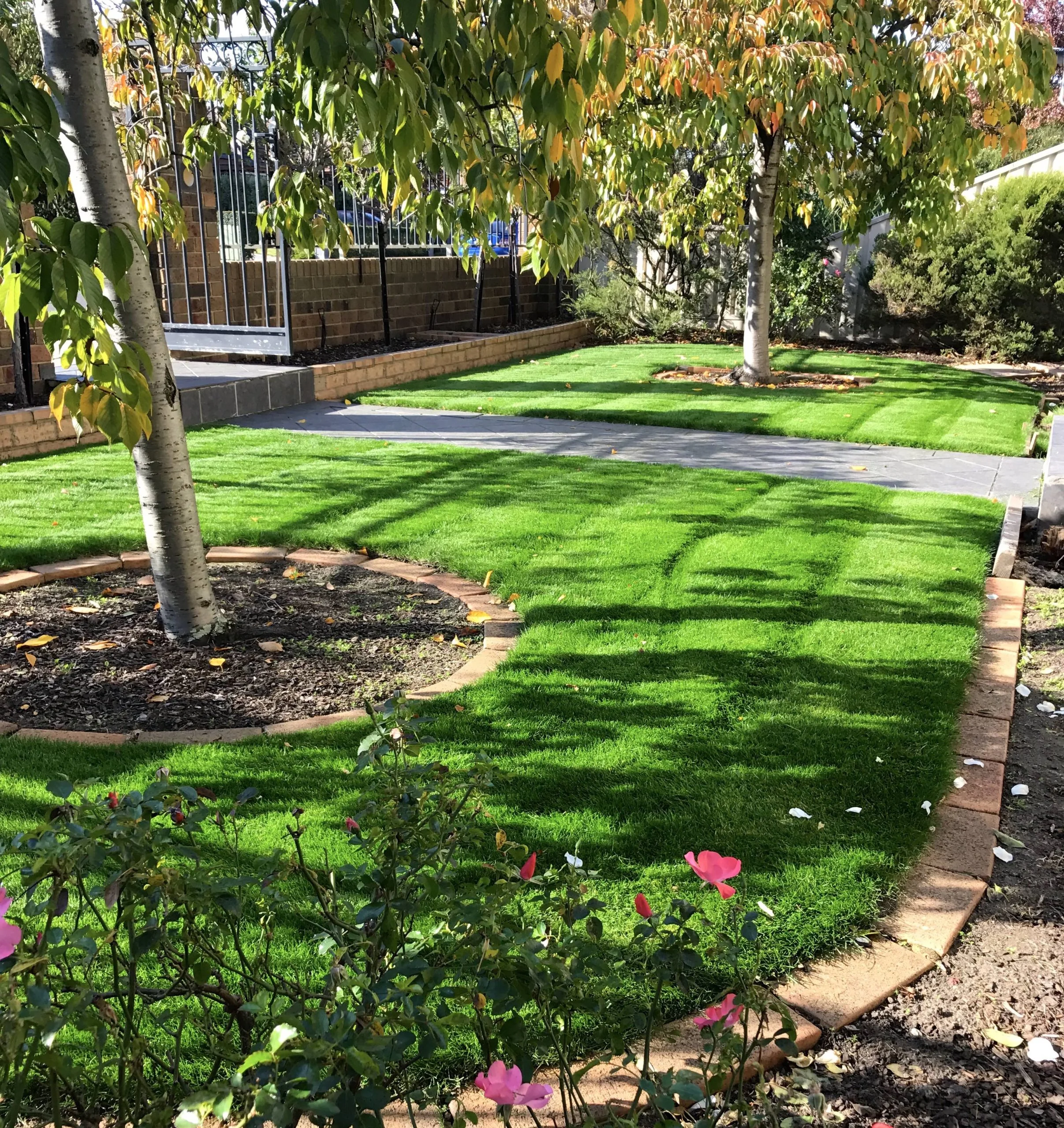 Instant Lawn