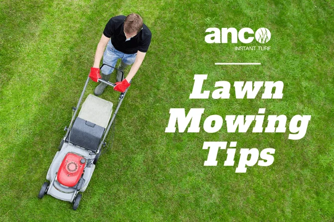 lawn mowing tips