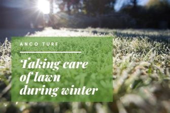 Taking Care of Lawn During Winter