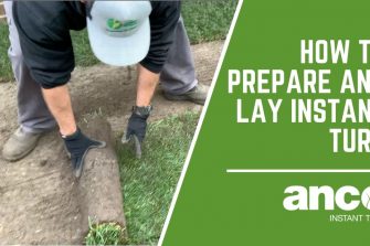 How to prepare and lay Instant Turf?
