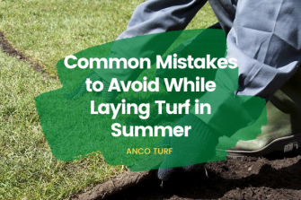 5 Common Mistakes to Avoid While Laying Turf in Summer