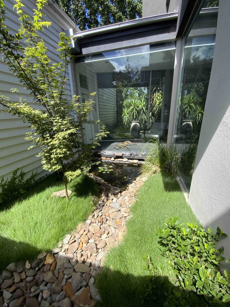 japanese garden anco turf lawn