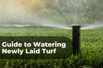 Ultimate Guide to Watering Newly Laid Turf
