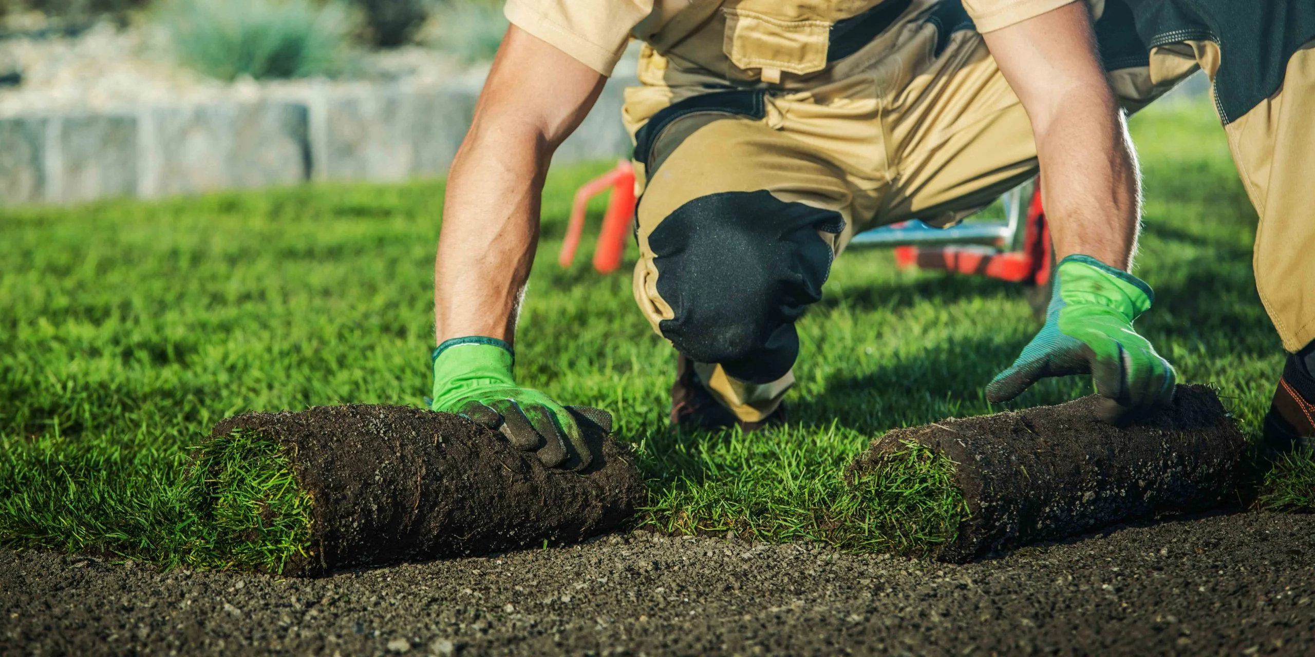 Installing A New Lawn In Winter