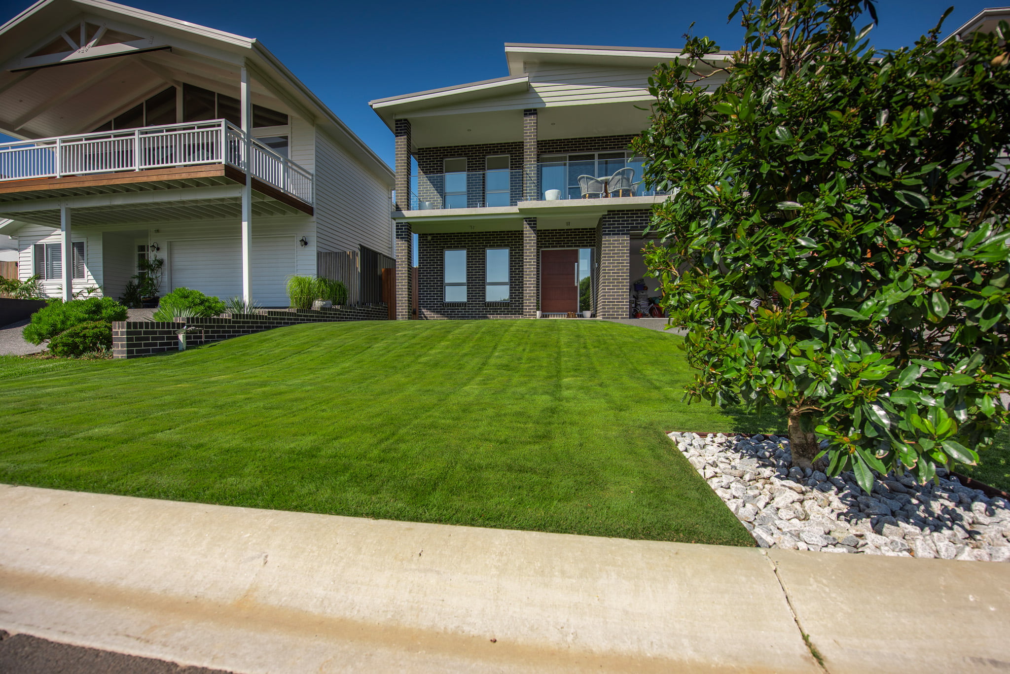 Sir Grange Zoysia