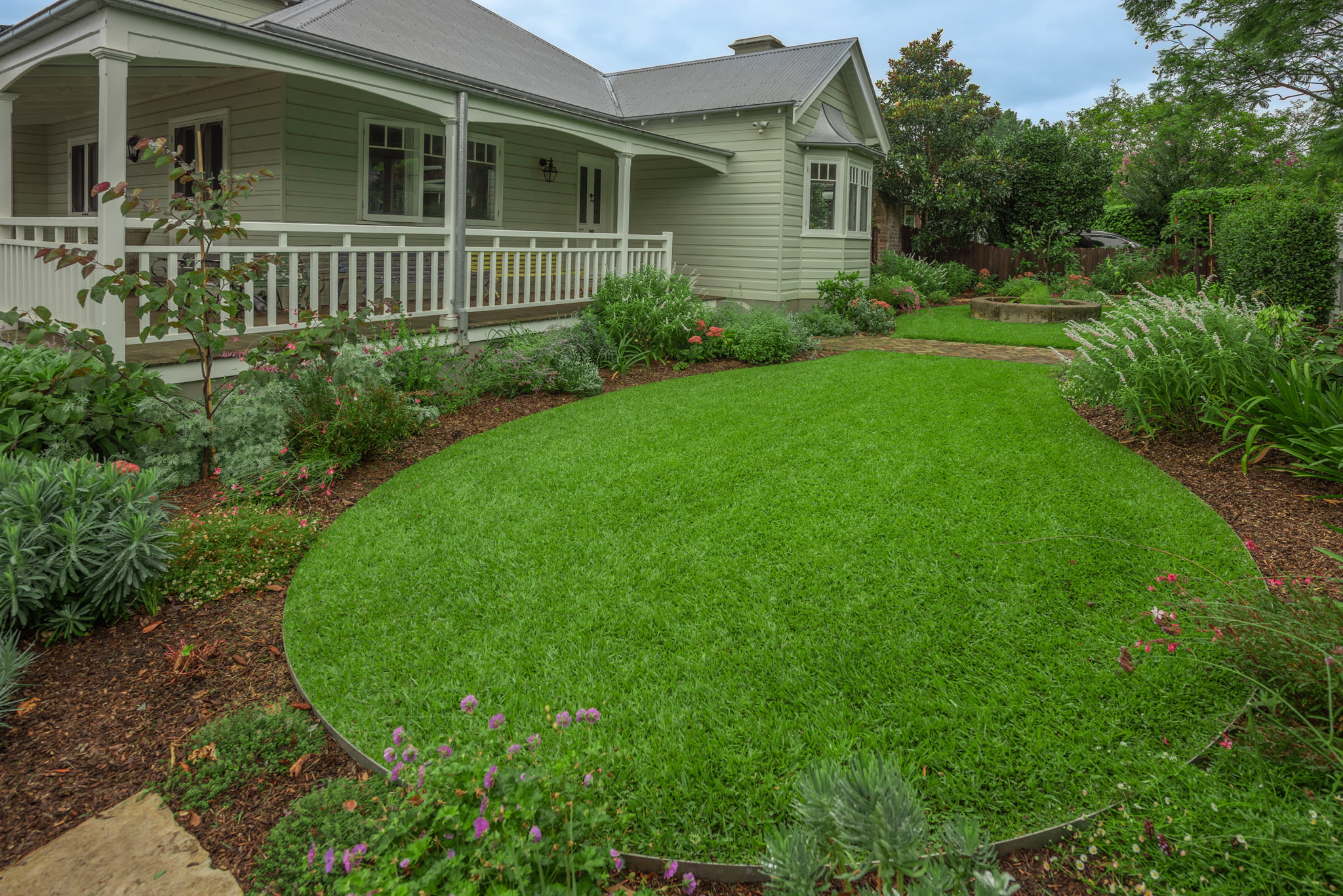 Sir Walter Buffalo Turf