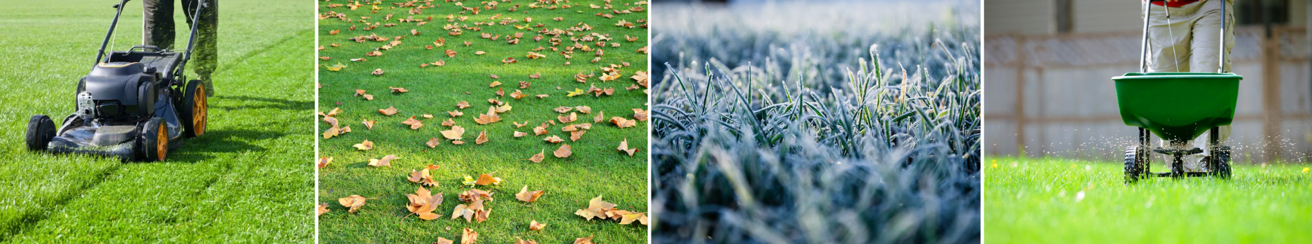 Lawn Maintenance