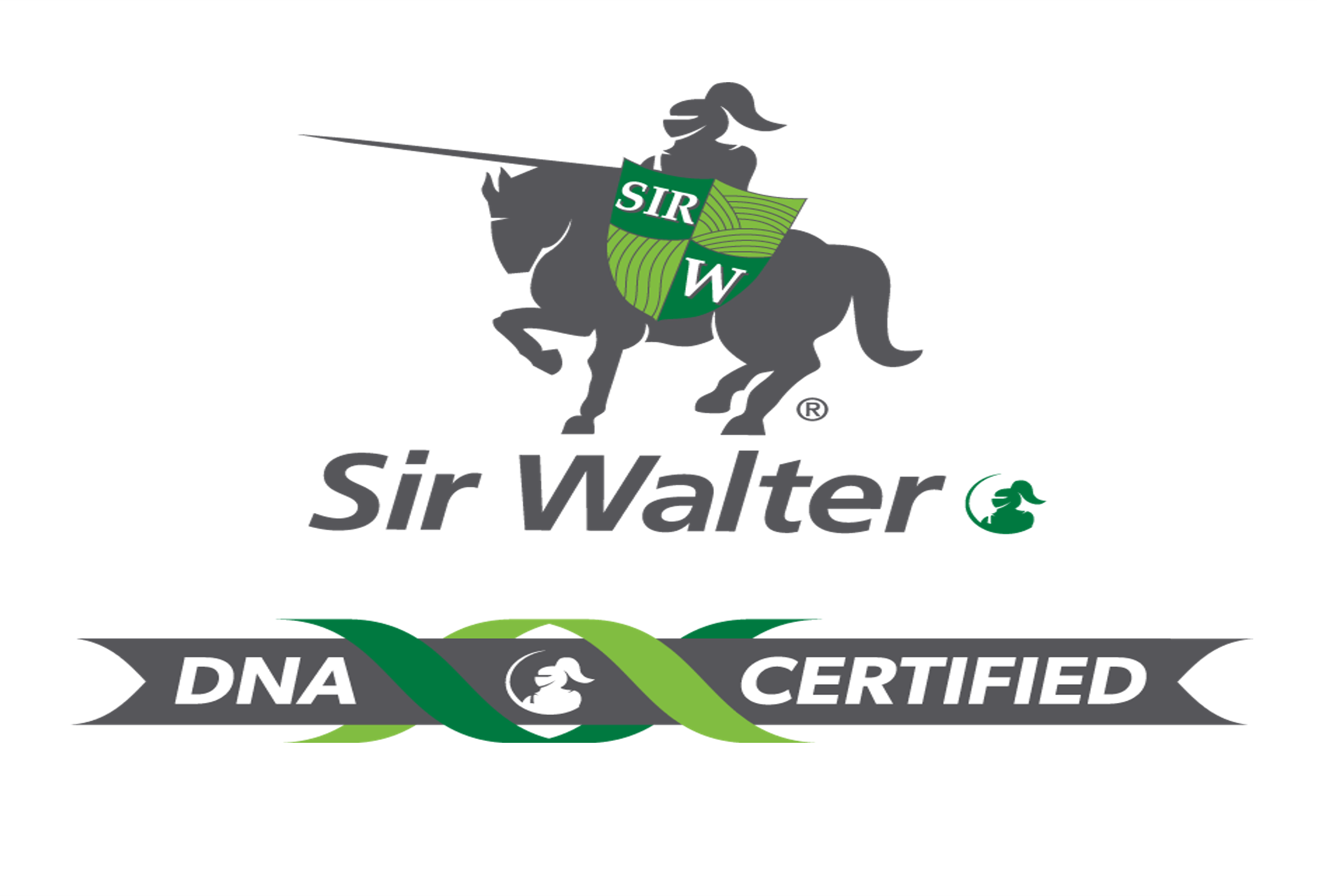 Sir Walter DNA Certified Buffalo