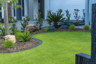 The Pros and Cons of Kikuyu Grass: Is It Right for Your Yard?