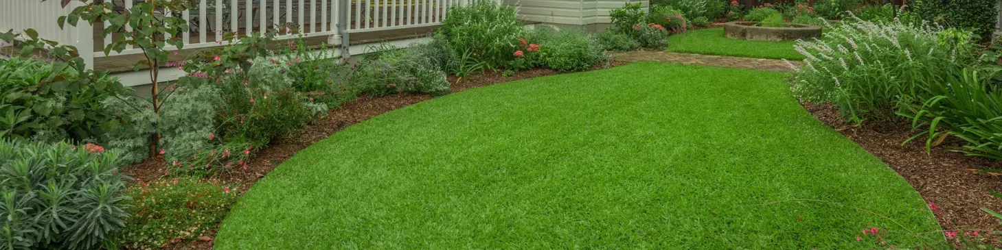 Is Your Lawn a Lie? The 7 Biggest Sir Walter Turf Myths, Exposed