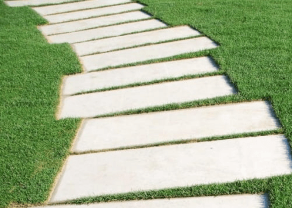 Anco Turf