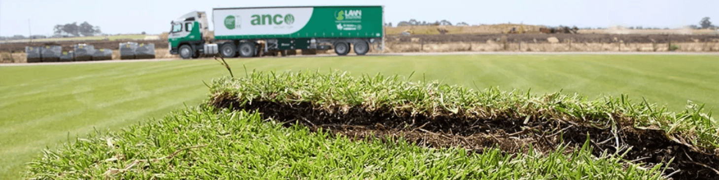 How the Anco Turf App Can Simplify Lawn Care & Ordering