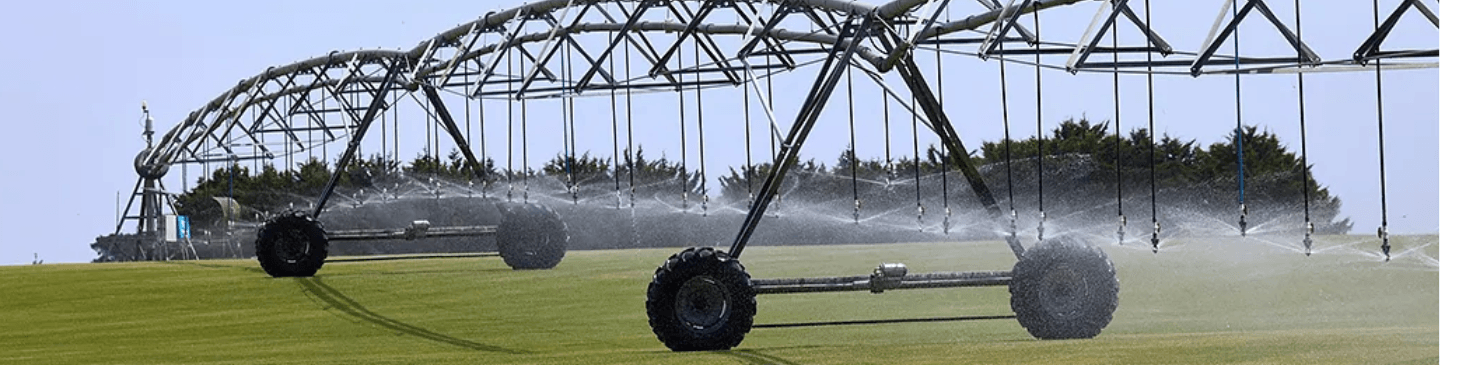How to Properly Water Your Lawn in Melbourne’s Hot Summers