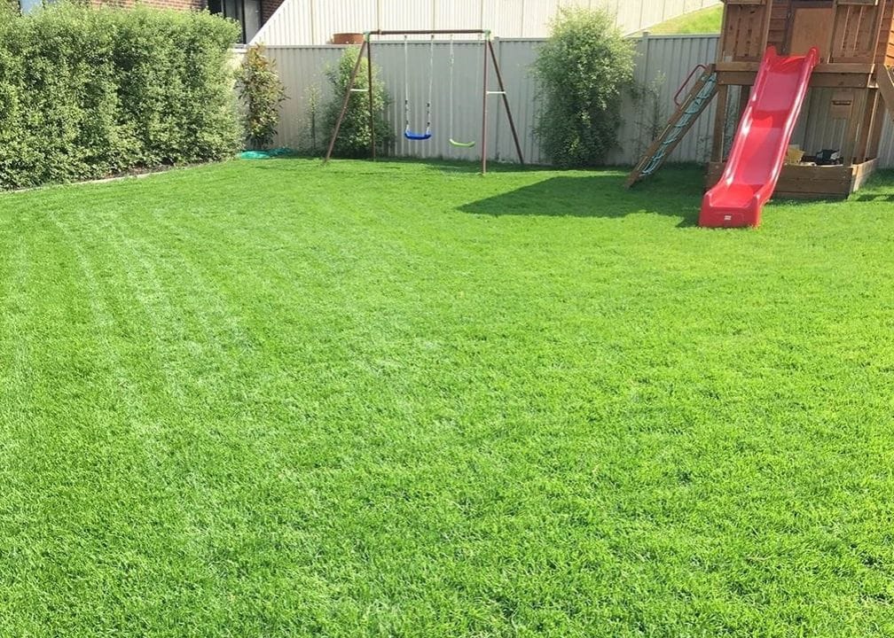 Anco Turf