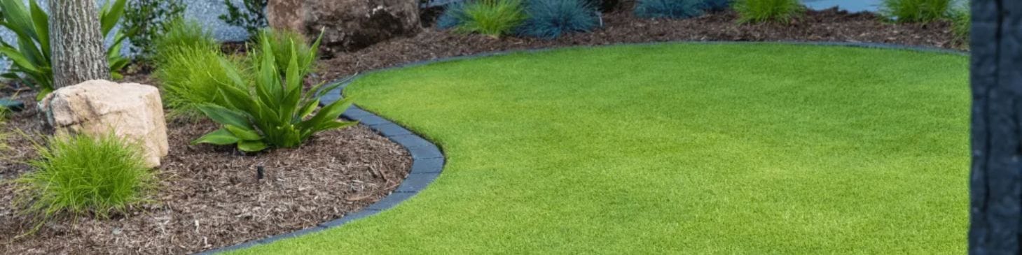 Is Kikuyu Lawn Grass Shade Tolerant?