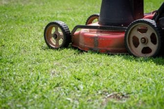 Lawn Grass Removal & Weed Control: The Smart Start to a Healthy Lawn