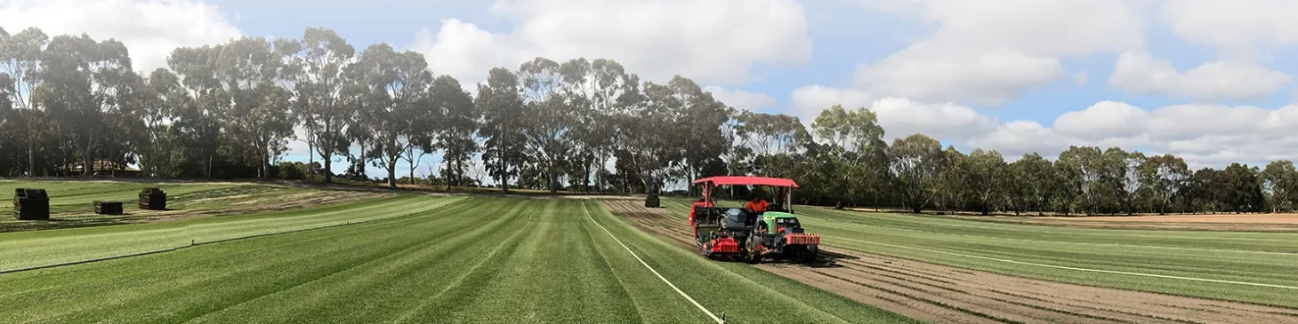 Top 10 Time-Saving Lawn Care Hacks