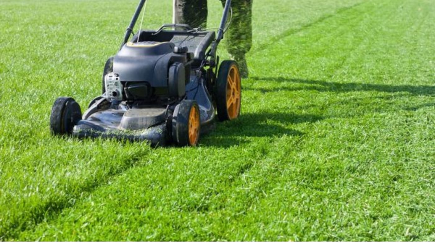 Anco Turf